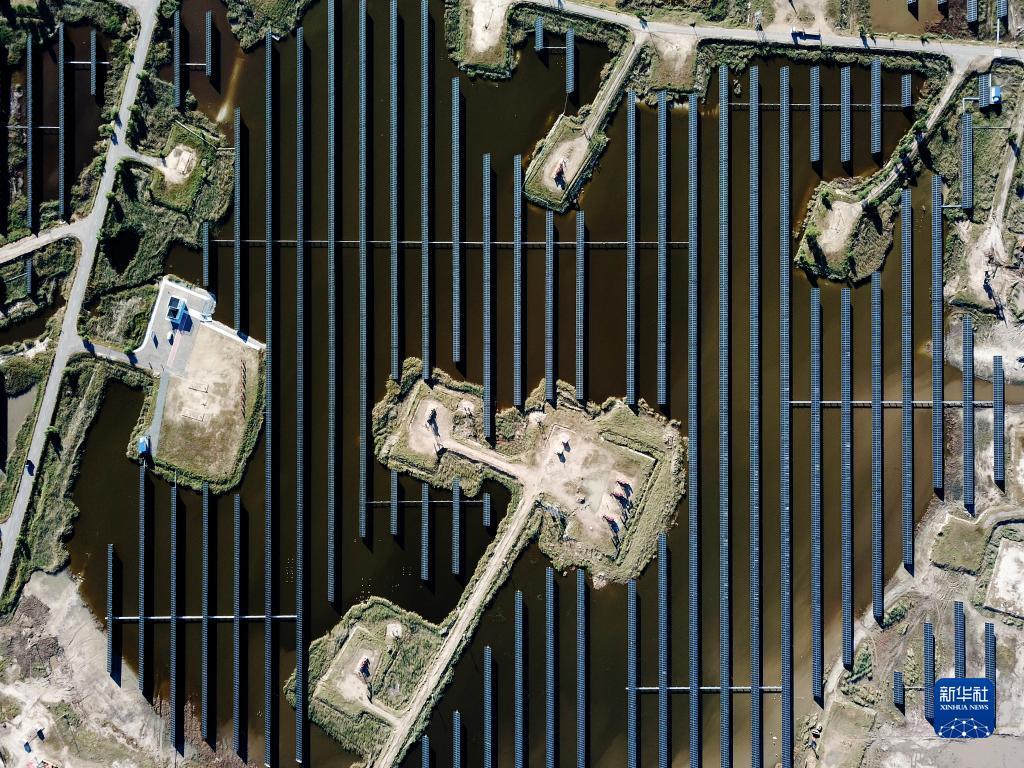 小太阳网站首页登录